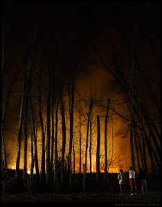 This photo shows several people standing in front of a forest fire by night